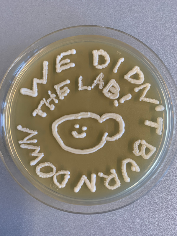 van Leeuwen lab University of Lausanne (UNIL)